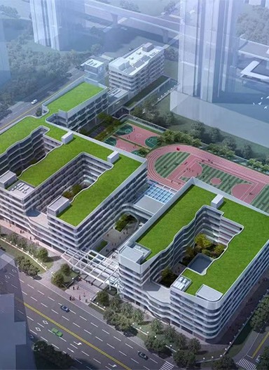 華東師范大學(xué)附屬深圳龍華學(xué)校標(biāo)識(shí)